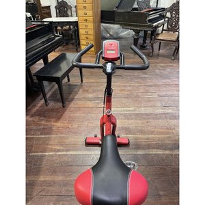 Bicicleta Fija de Spinning Roja con Detalles - imagen 2