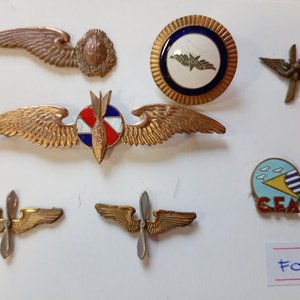 Lote siguiente: Conjunto de Alas e Insignias Militares Uruguayanas Antiguas y Modernas