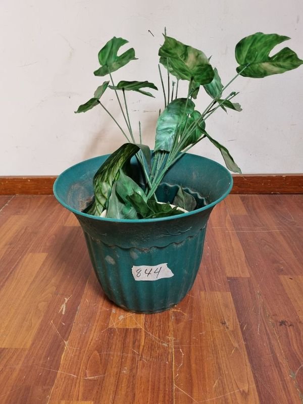 Item 854610 - Image 0