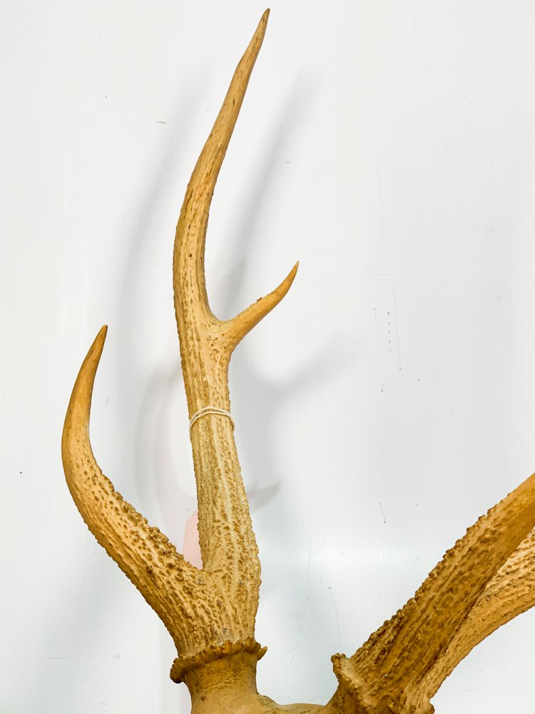 Item 486770 - Image 3