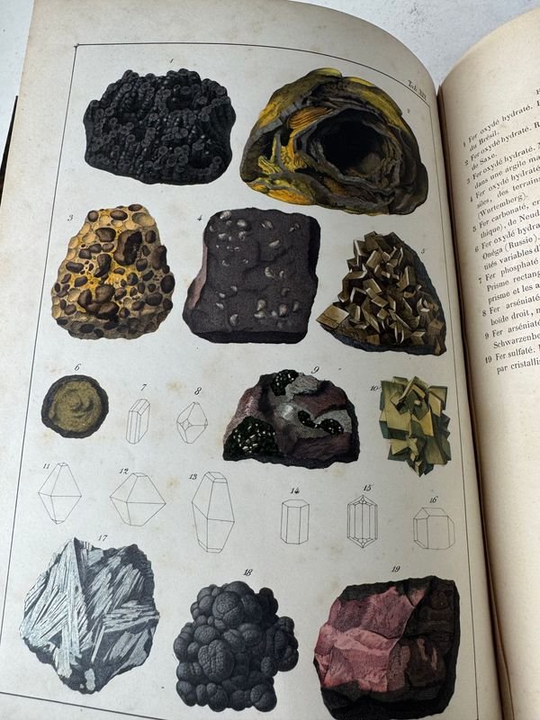Libro antiguo de mineralogía con una mano en la cubierta - imagen 3