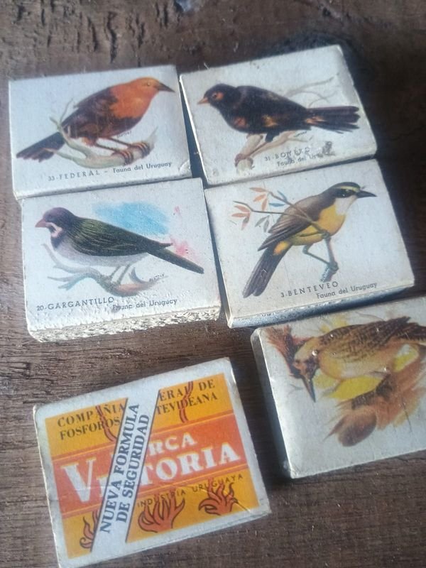 Lote siguiente: Colección de fósforos Victoria Aves en buen estado