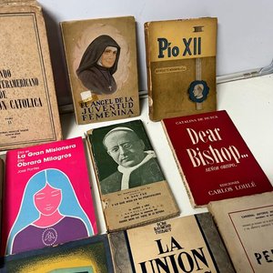 Lote de 18 Libros de Religión Católica y Teología - imagen 4