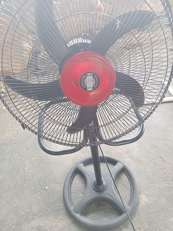 Item 852407 - Image 6