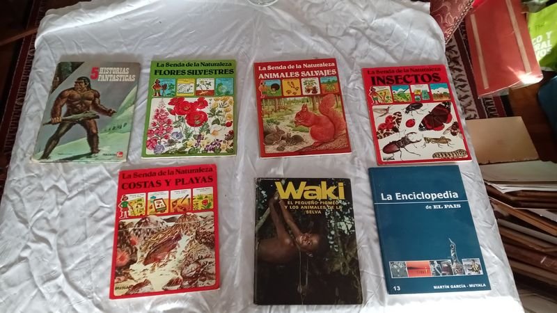 Item 891462 - Image 2