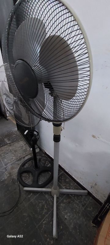 Item 900921 - Image 3