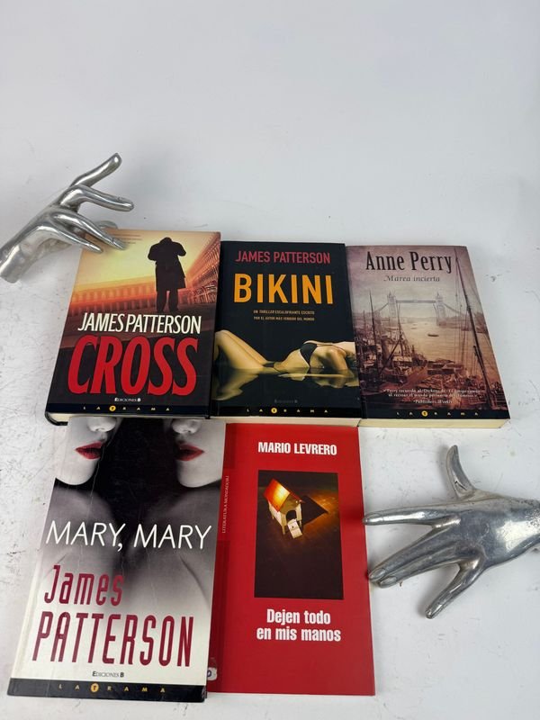 5 libros de Thriller Policial y Novela Contemporánea - imagen 2