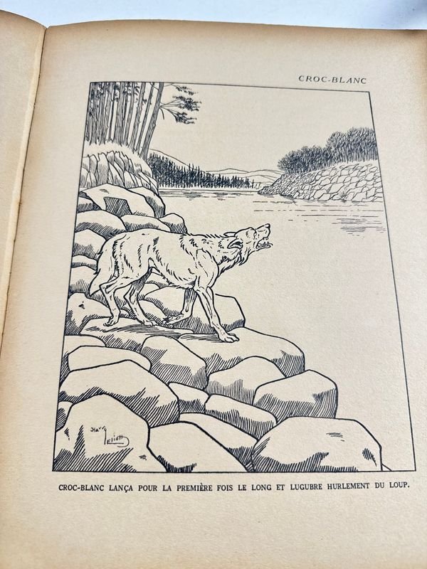 Libro de Jack London, Colmillo Blanco, editorial Librarie Hachette, c. 1920 - imagen 6