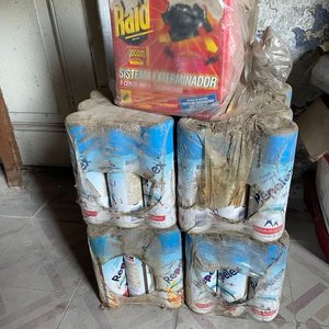 Pack de 4 Aerosoles Raid y Mata Cucarachas - imagen 1