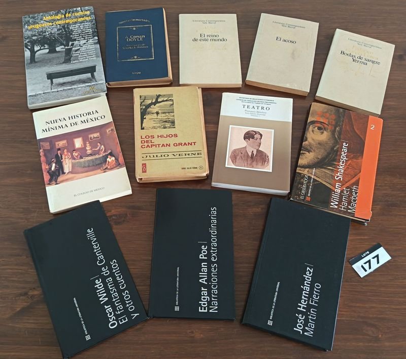 Lote de 12 Libros de Literatura Universal, Clásicos y Contemporáneos