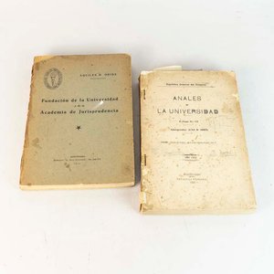 Lote anterior: Anales de la Universidad y Fundación de la Academia de Jurisprudencia, Montevideo