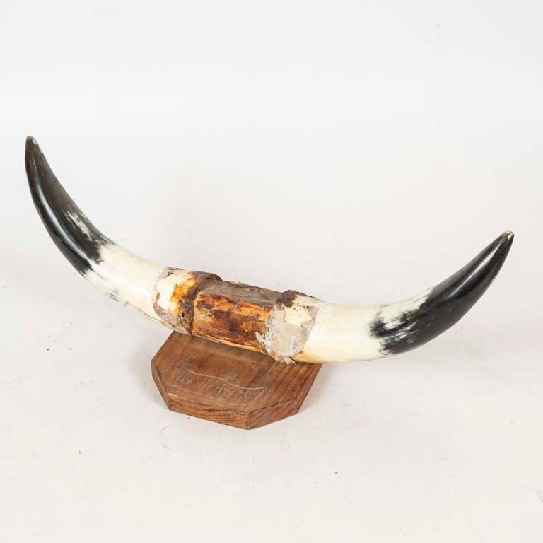 Item 2103564 - Image 0