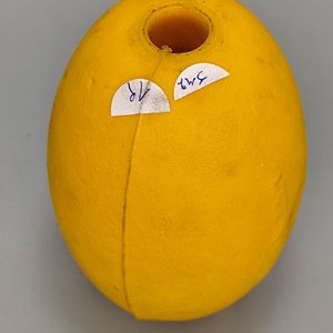 Boya Flotante Oval de Espuma Amarilla - imagen 4