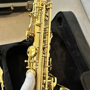 Saxofón Alabama Dorado con Estuche - imagen 4