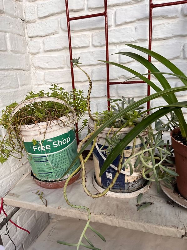 Item 921722 - Image 3