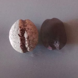 Par de Boleadoras Arrojadizas Pequeñas para Caza - imagen 2