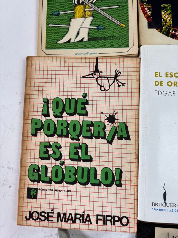 Colección de libros clásicos y fantásticos en español - imagen 6