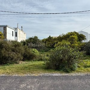 Terreno en Venta en Maldonado - imagen 6