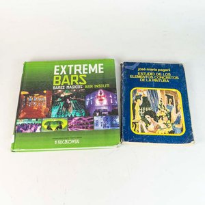 Lote siguiente: Lote de 2 Libros: "Estudio de los Elementos Concretos de la Pintura" y "Extreme Bars"