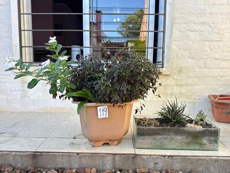 Item 892375 - Image 1