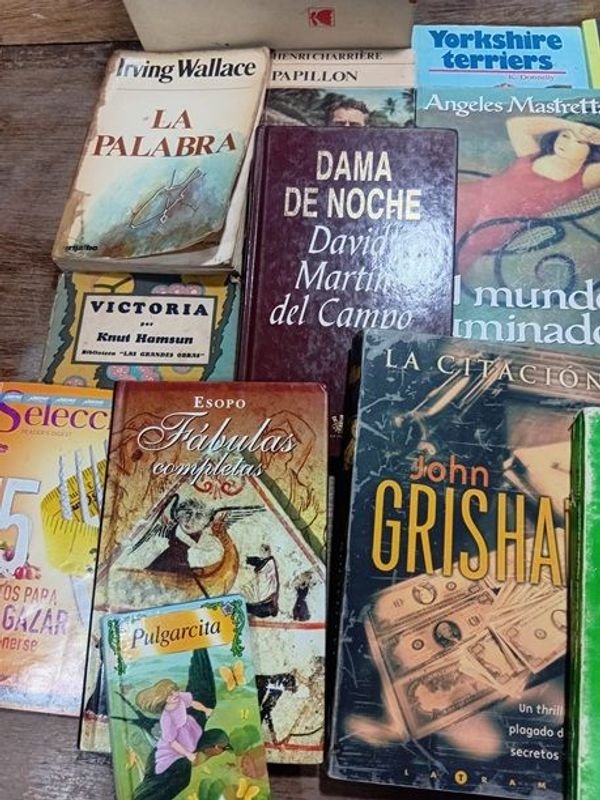 Colección de libros y novelas en español - imagen 6