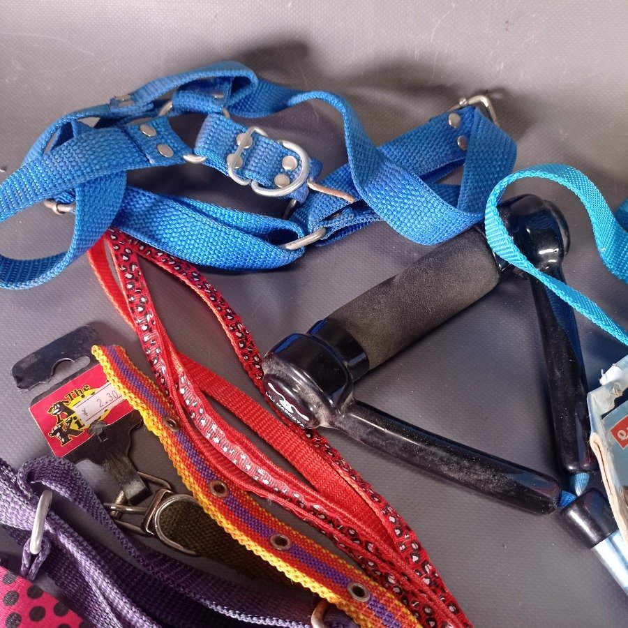 Correas y arneses para mascotas en diferentes tamaños y colores - imagen 6