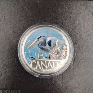 Moneda de Plata Canadiense "Great Blue Heron" 2017 - 10 Dólares - imagen 8