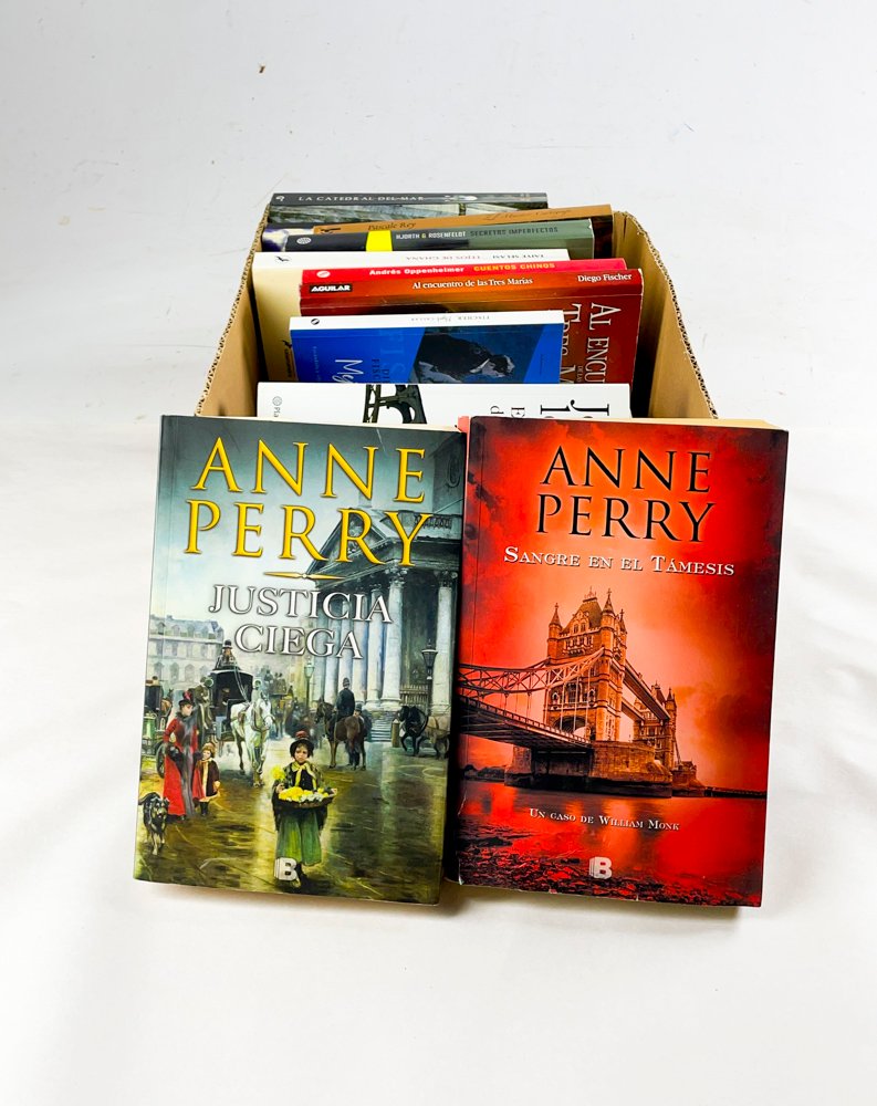 Lote siguiente: Colección de libros en buen estado