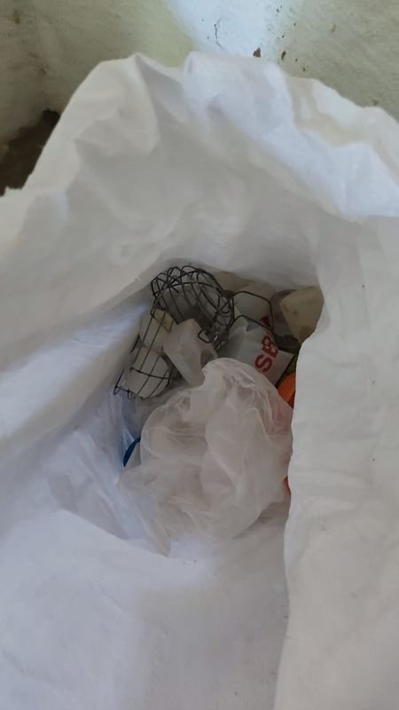 Item 869950 - Image 1