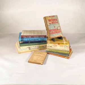 Lote anterior: Lote de Dieciséis Libros Diversos