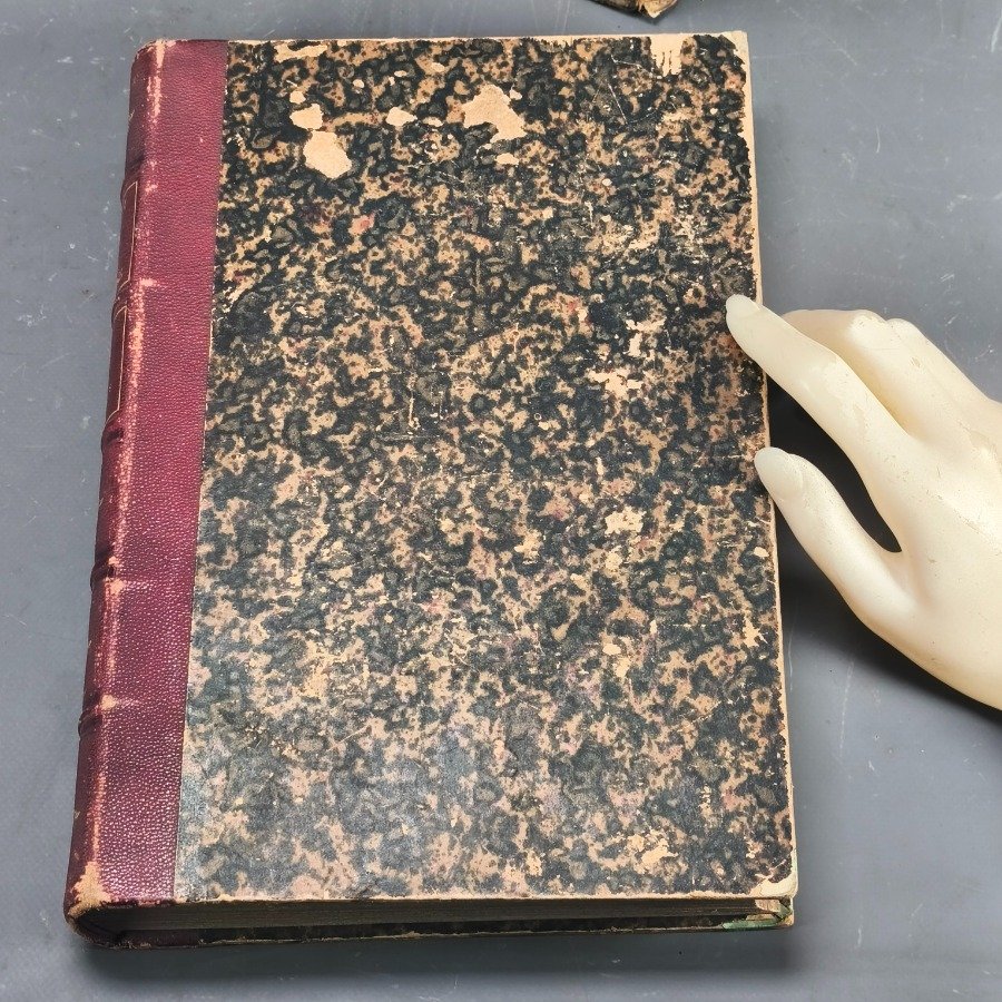 Libro antiguo de historia natural con encuadernación en cuero - imagen 6