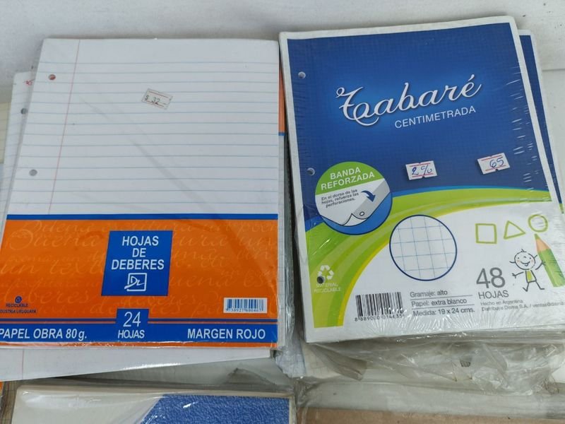 Lote de Papeleia y Libros Variados - imagen 5