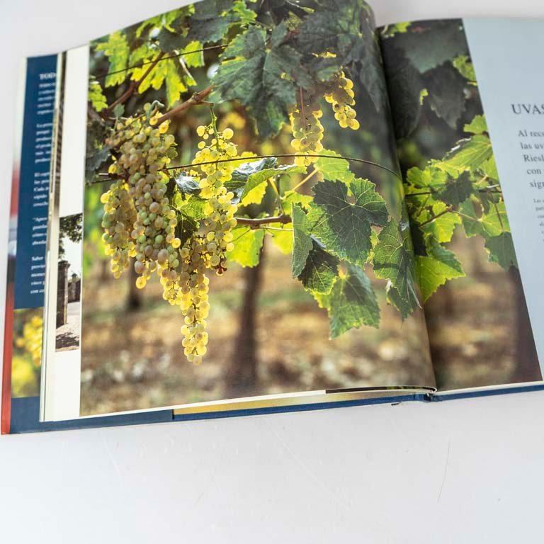 Item 2111658 - Image 1