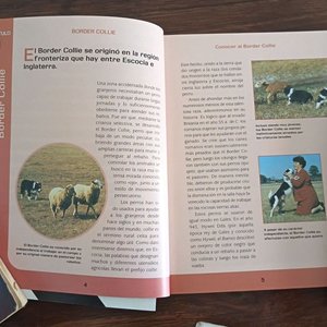 Lote de 4 Libros Técnicos e Históricos del Sector Agropecuario y Forestal del Cono Sur - imagen 3