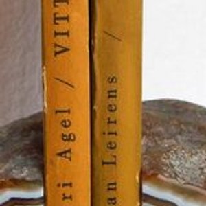 Dos Libros: Tiempo y Cine por Jean Leirens y Vittorio De Sica por Henri Agel - imagen 3