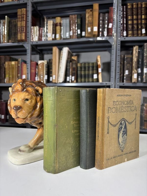 Lote anterior: Libros Antiguos de Odontología y Economía Doméstica