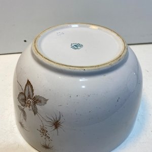 Lote Vajilla Porcelana OLMOS Hojas Doradas: Platos, Tazas y Fuentes - imagen 14