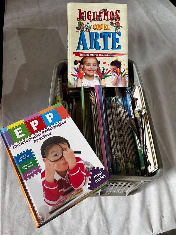 Cajón con Libros Varios de Arte y Educación Preescolar