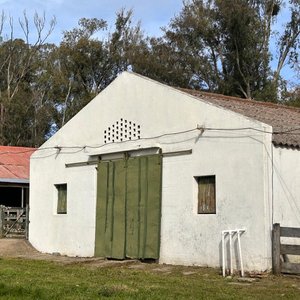 Lote de Campo con Galpones y Casa Principal - imagen 23