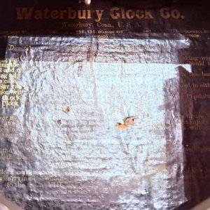 Reloj de Pared Waterbury Clock Co. USA Antiguo - Funciona - imagen 7