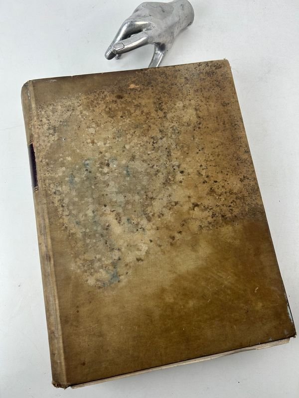 Lote siguiente: Libro antiguo con ilustraciones en italiano, 1879