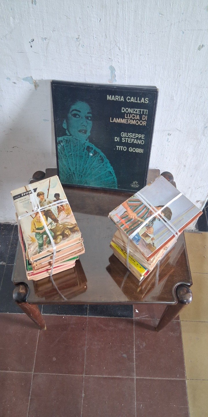 Vinilos ópera y lote de libros