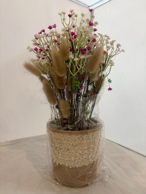 Maceta con planta para decorar tu hogar - imagen 2