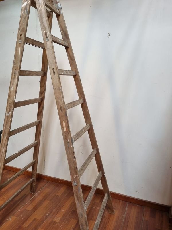 Item 873422 - Image 4