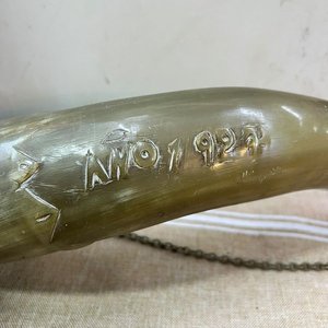Cuerno Antiguo Natural con Cadena Metálica y Marca No. 729 - imagen 5