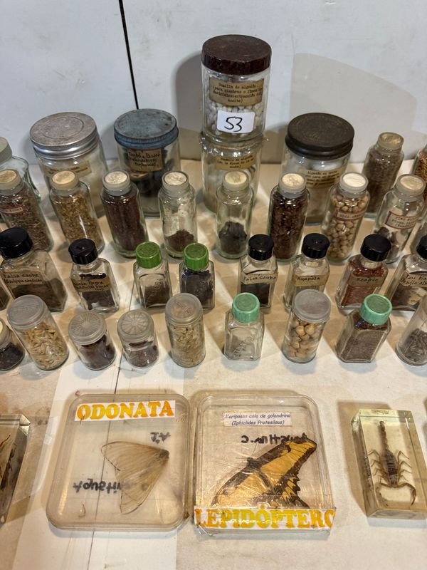 Item 851807 - Image 3