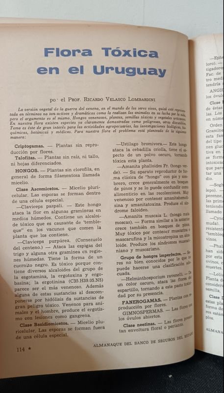 Item 833737 - Image 4