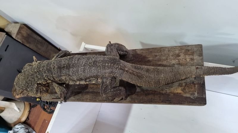 Item 718368 - Image 3