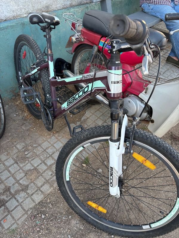 Item 858478 - Image 1