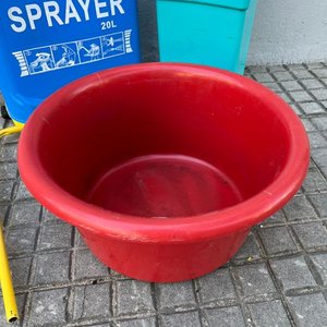 Pulverizador 20L, Batea Roja y Papelera Plástica - imagen 5